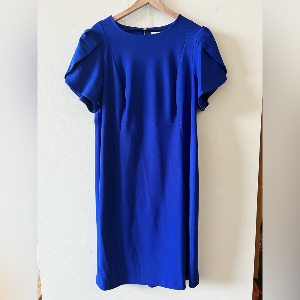 Calvin Klein Cobalt Blue Sheath Dress